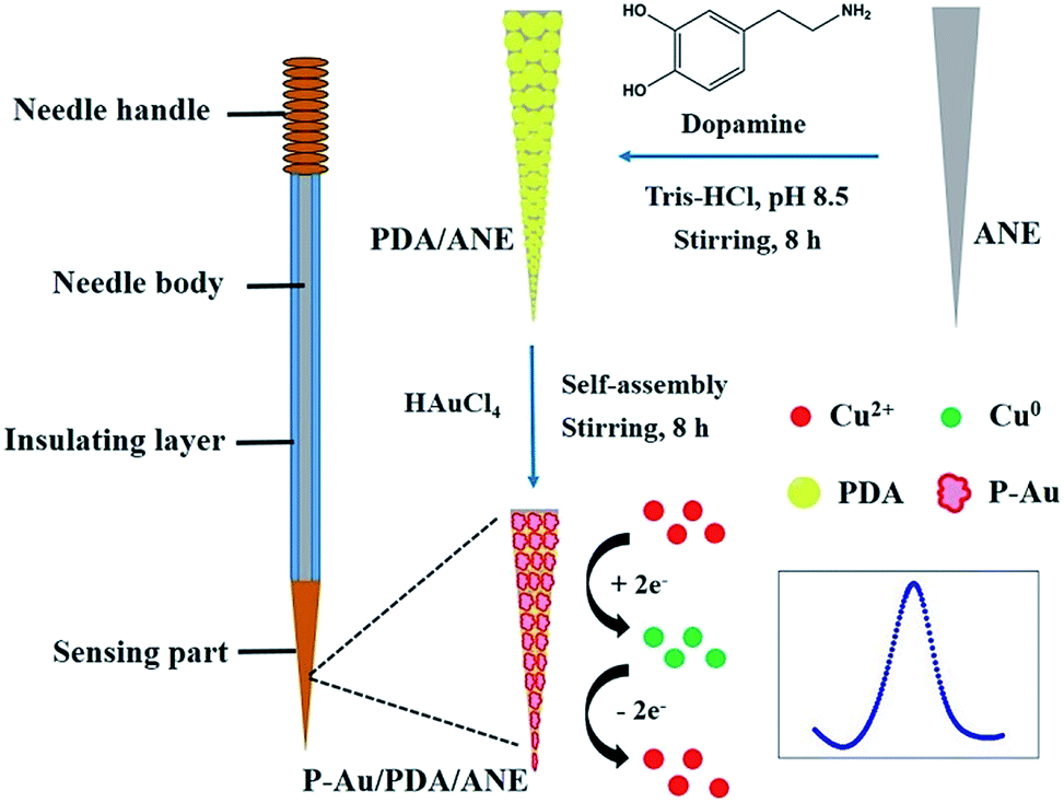 A Novel Stainless Steel Needle Electrode Based On Porous Gold Nanomaterials For The Determination Of Copper In Seawater Analytical Methods Rsc Publishing