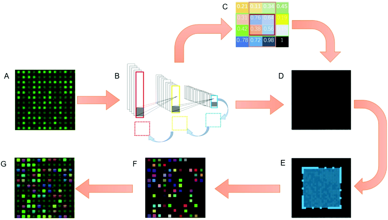 A Novel Method Based On A Mask R Cnn Model For Processing Dpcr Images Analytical Methods Rsc Publishing