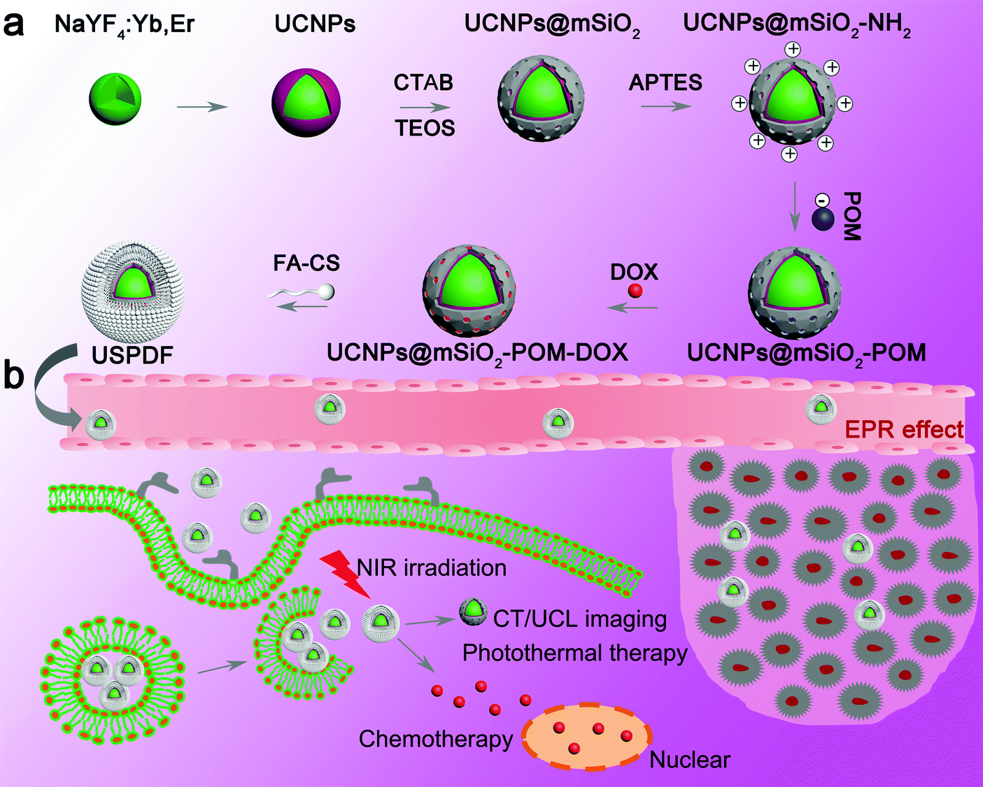 A Smart Tumor Microenvironment Responsive Nanoplatform Based On Upconversion Nanoparticles For Efficient Multimodal Imaging Guided Therapy Biomaterials Science Rsc Publishing