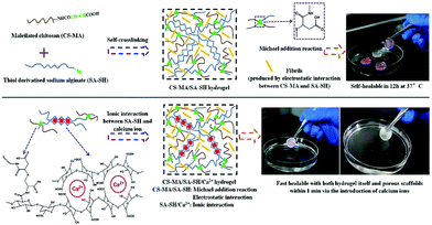 Advances In Crosslinking Strategies Of Biomedical Hydrogels ...