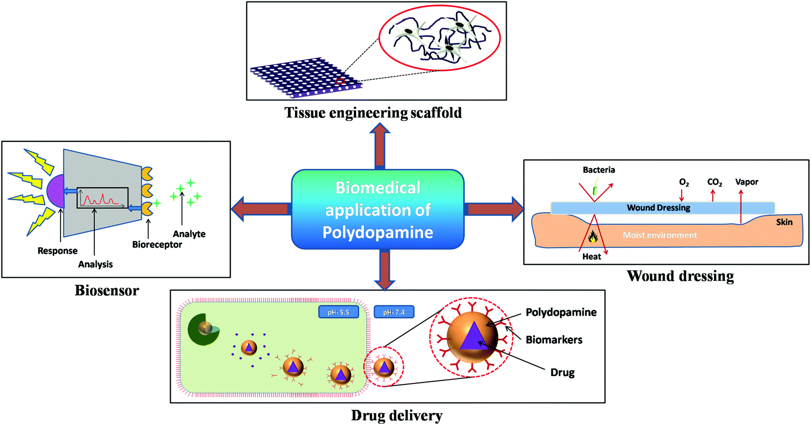 A Polydopamine Based Platform For Anti Cancer Drug Delivery - 