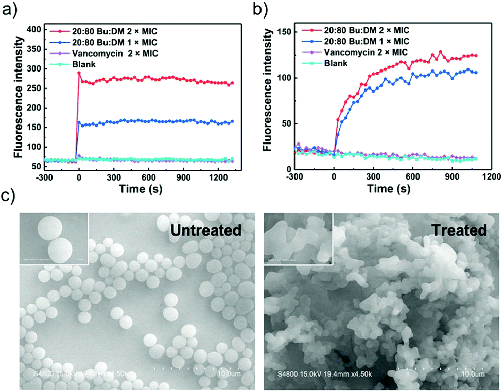 Host Defense Peptide Mimicking Poly B Peptides With Fast Potent And Broad Spectrum Antibacterial Activities Biomaterials Science Rsc Publishing