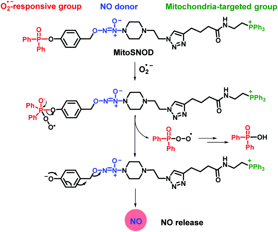 A Mitochondria Targeted Nitric Oxide Donor Triggered By Superoxide Radical To Alleviate Myocardial Ischemia Reperfusion Injury Chemical Communications Rsc Publishing