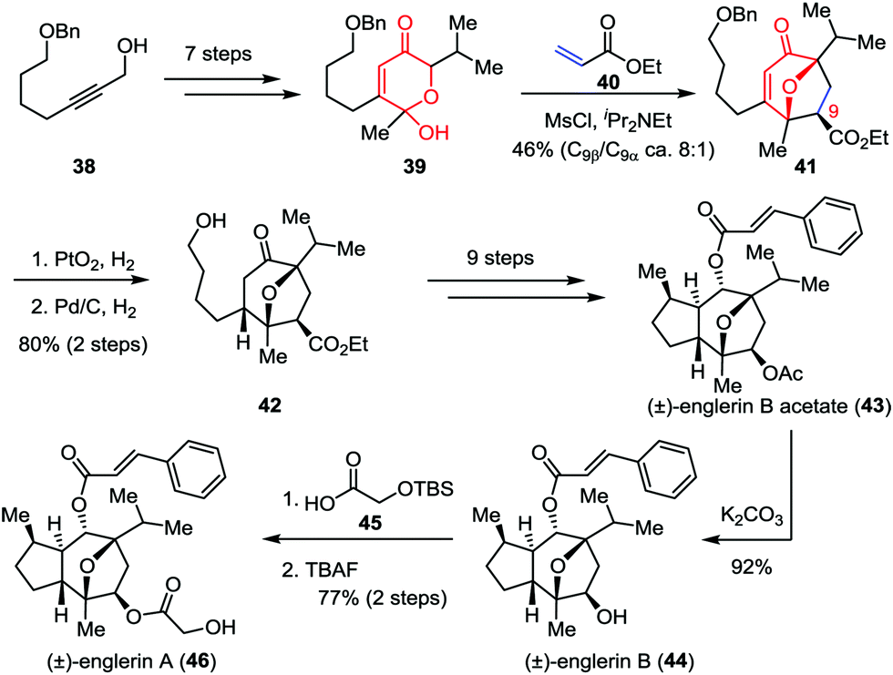 Recent development on the [5+2] cycloadditions and their application in ...