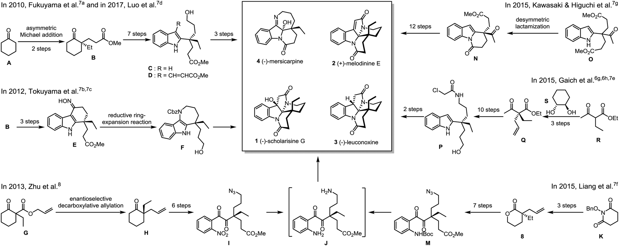 Unified enantioselective total syntheses of (−)-scholarisine G ...