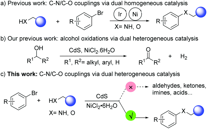 Practical Heterogeneous Photoredox Nickel Dual Catalysis For C N And C O Coupling Reactions Chemical Communications Rsc Publishing