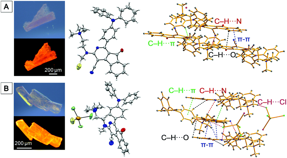 Dual Detection Of Bioaccumulated Hg2 Based On Luminescent Bacteria And Aggregation Induced Emission Chemical Communications Rsc Publishing