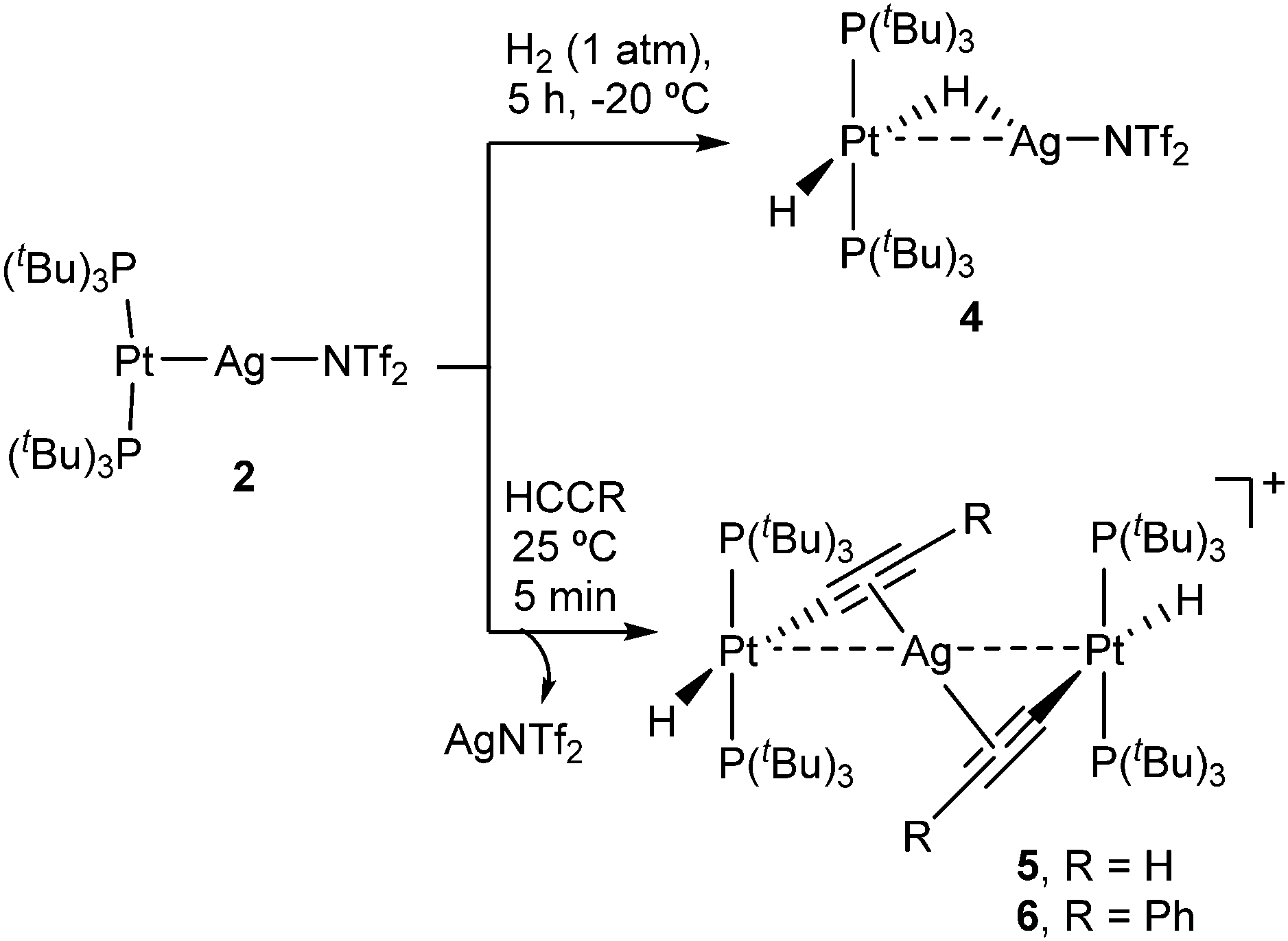 Cooperative Activation Of X H X H C O N Bonds By A Pt 0 Ag I Metal Only Lewis Pair Chemical Communications Rsc Publishing