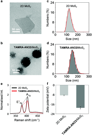 Fluorescence Imaging Of A Potential Diagnostic Biomarker For Breast ...