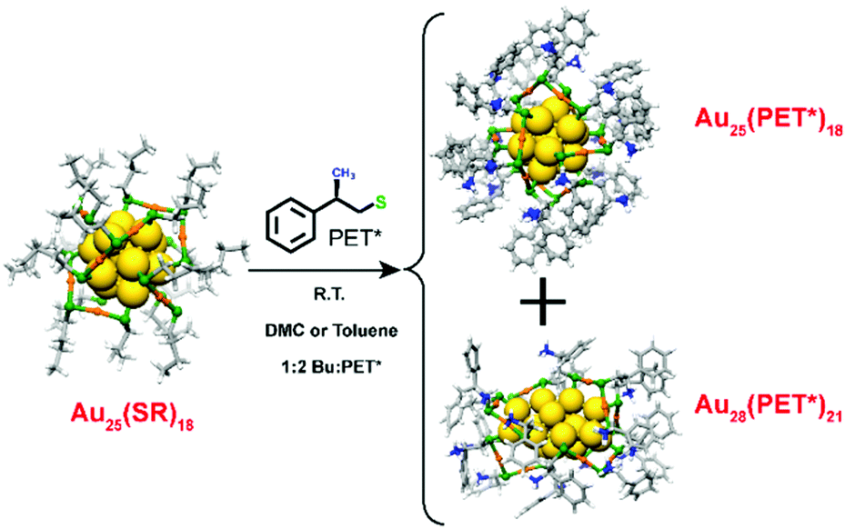 Transformation from [Au 25 (SCH 2 CH 2 CH 2 CH 3 ) 18 ] 0 to Au 28 (SCH