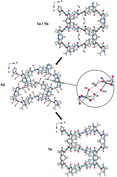 Desolvation Process In The Flexible Metal–organic Framework [Cu(Me-4py ...