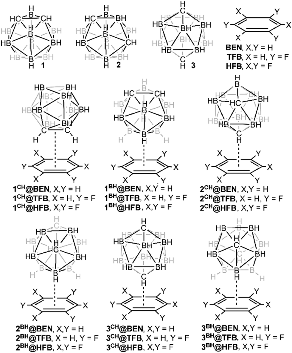 Closo Carboranes As Dual Ch P And Bh P Donors Theoretical Study And Biological Significance Physical Chemistry Chemical Physics Rsc Publishing