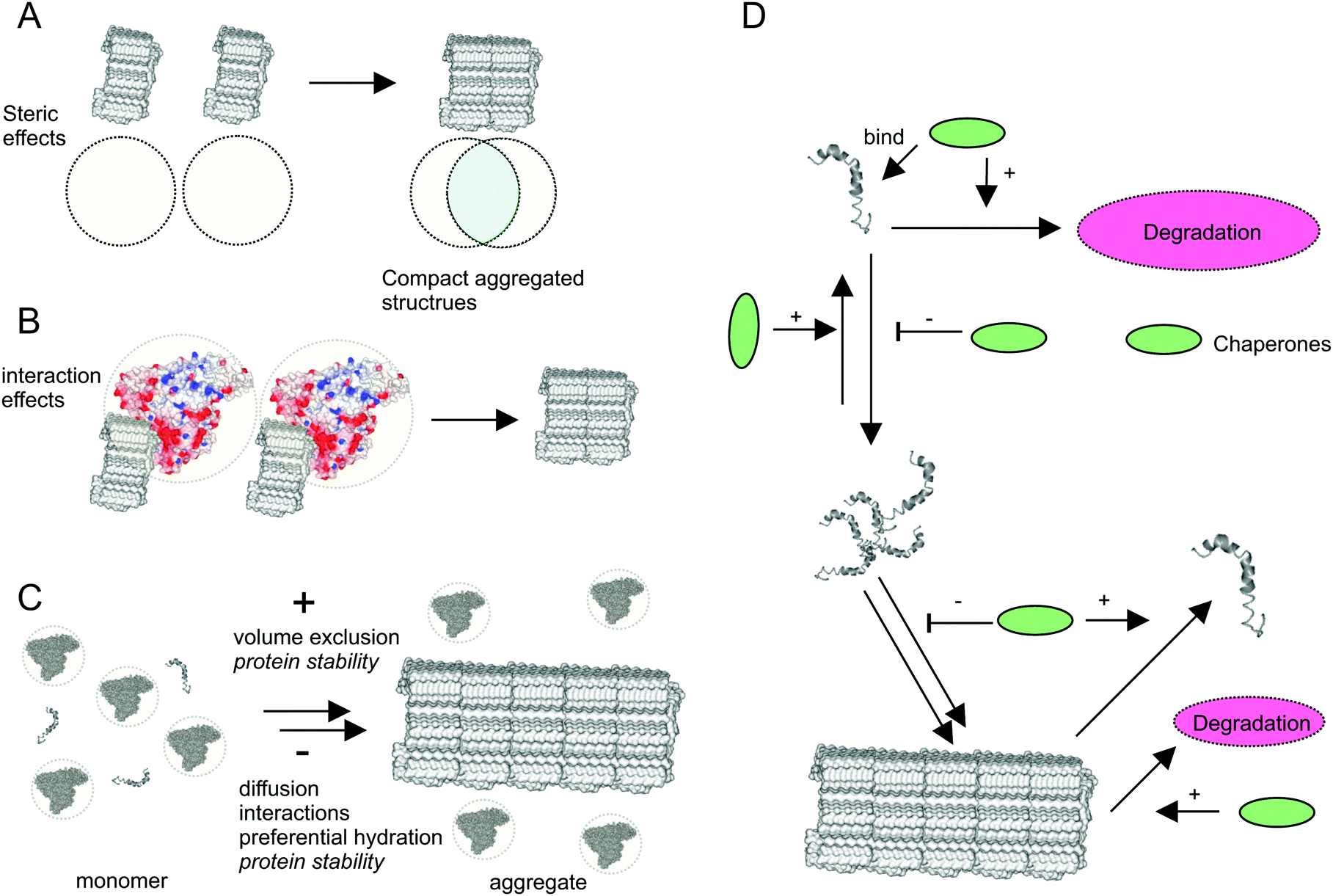 Effects Of In Vivo Conditions On Amyloid Aggregation Chemical Society Reviews Rsc Publishing