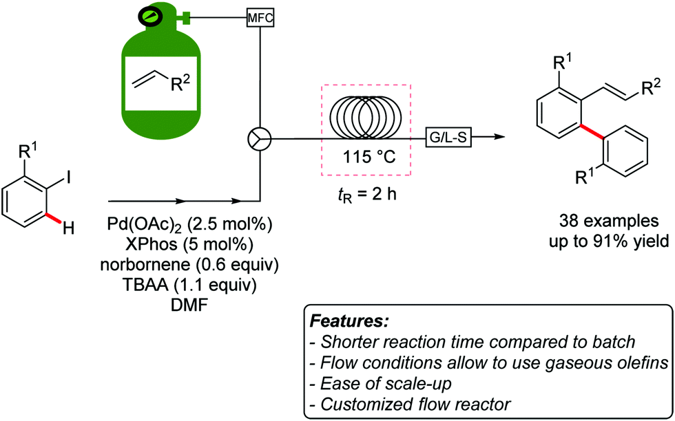 C H Functionalization Reactions Under Flow Conditions Chemical Society Reviews Rsc Publishing