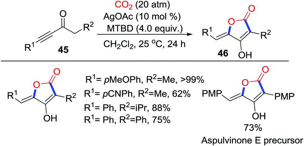 Recent Advances In Nucleophile Triggered Co2 Incorporated Cyclization Leading To Heterocycles Chemical Society Reviews Rsc Publishing