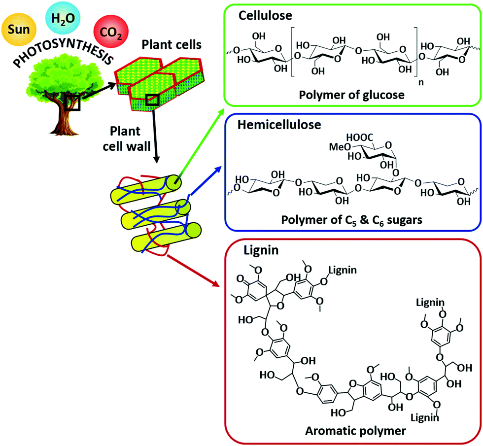 Advances in porous and nanoscale catalysts for viable biomass ...