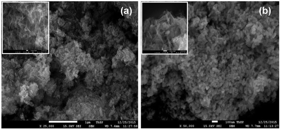 Waste To Wealth Biowaste Valorization Into Valuable Bio Nano Materials Chemical Society Reviews Rsc Publishing