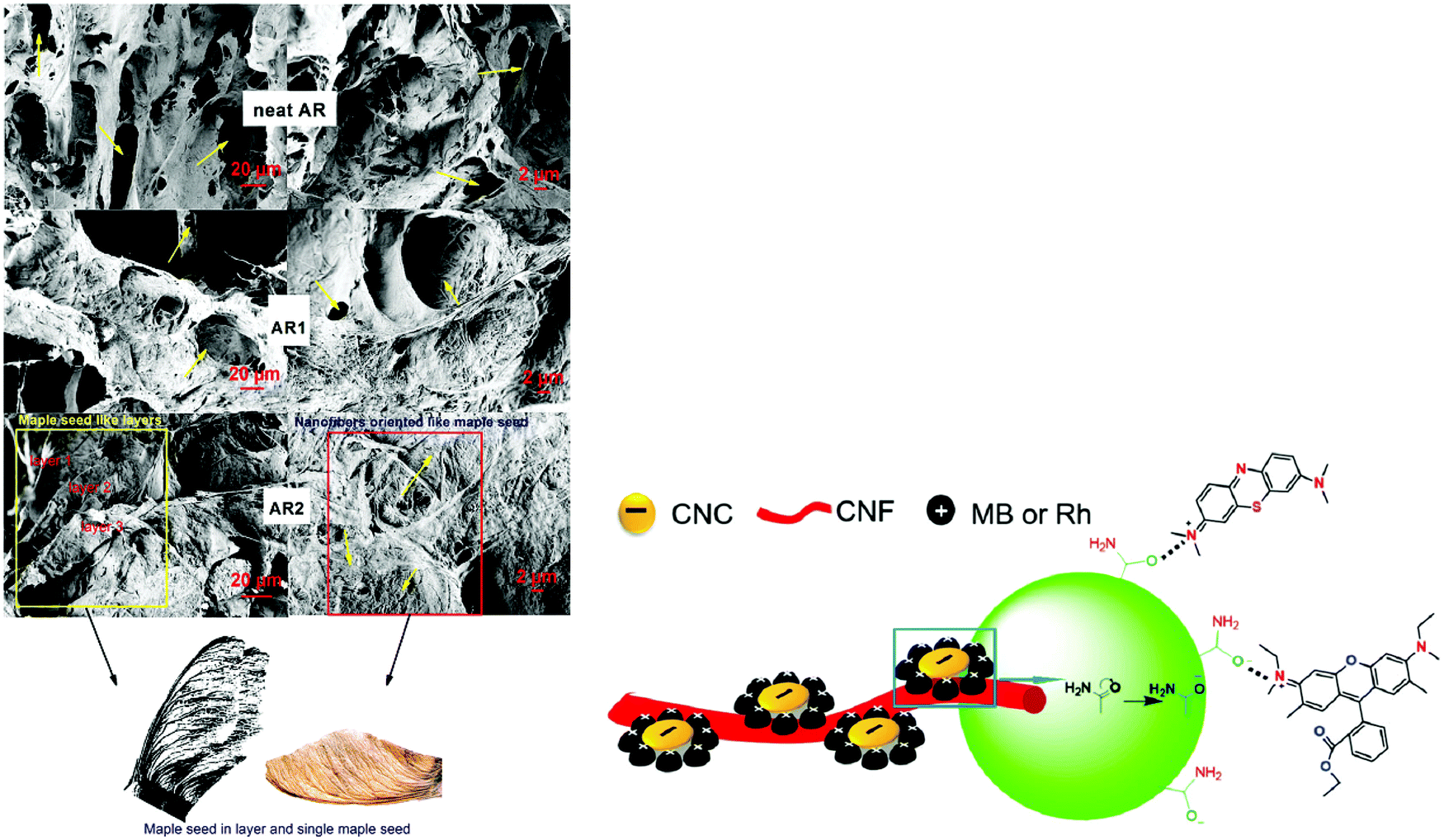 Waste To Wealth Biowaste Valorization Into Valuable Bio Nano Materials Chemical Society Reviews Rsc Publishing