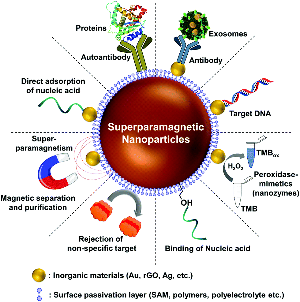 Superparamagnetic Nanoarchitectures For Disease Specific Biomarker Detection Chemical Society Reviews Rsc Publishing