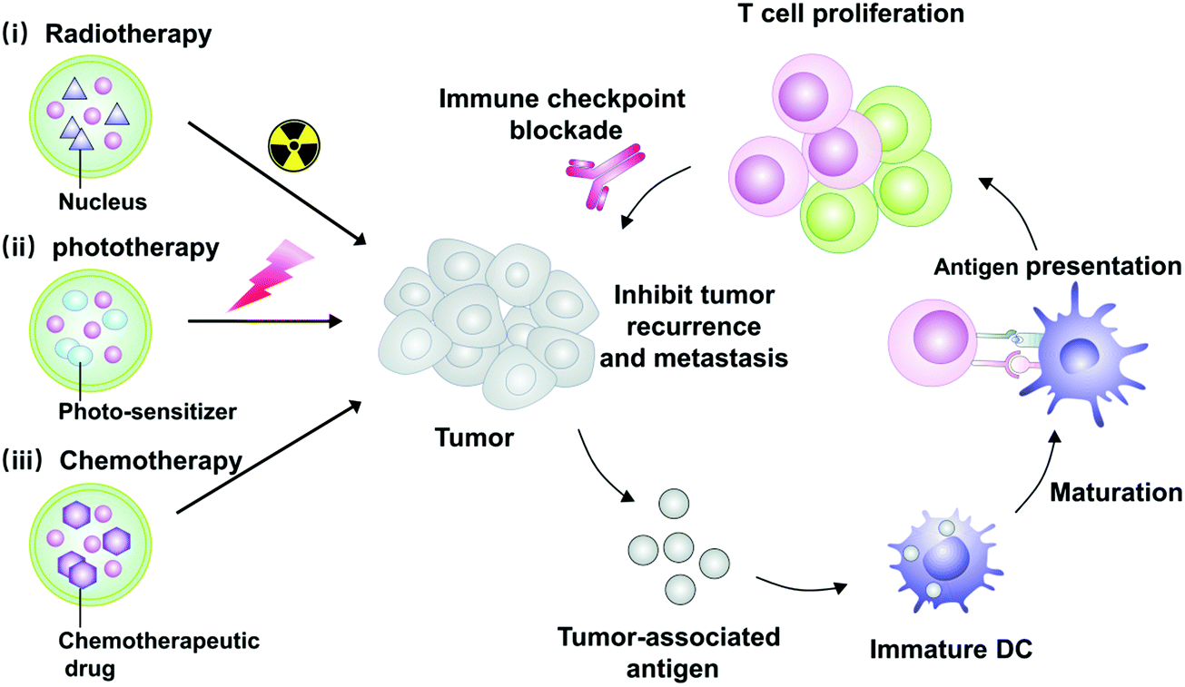 metastatic cancer immunotherapy)