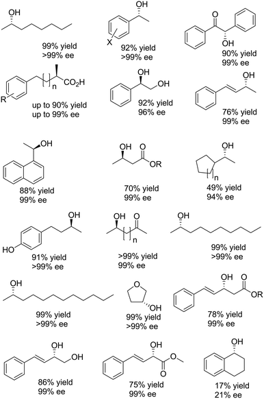 Synthesis of enantiomerically pure alcohols and amines via biocatalytic ...
