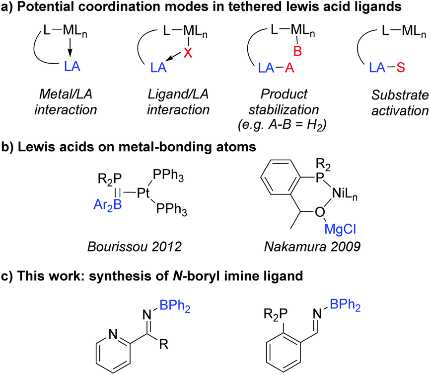 Synthesis Structure And Palladium Coordination Of Ambiphilic Pyridine And Phosphine Tethered N Boryl Imine Ligands Dalton Transactions Rsc Publishing