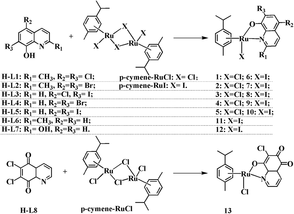 Discovery Of High In Vitro And In Vivo Antitumor Activities Of Organometallic Ruthenium Ii Arene Complexes With 5 7 Dihalogenated 2 Methyl 8 Quinolinol Dalton Transactions Rsc Publishing