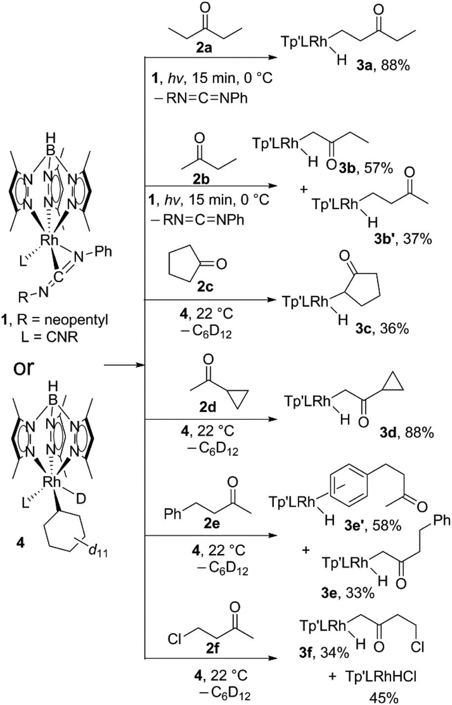 Photolysis Of Tp Rh Cnneopentyl Phncnneopentyl In The Presence Of Ketones And Esters Kinetic And Thermodynamic Selectivity For Activation Of Different Aliphatic C H Bonds Dalton Transactions Rsc Publishing