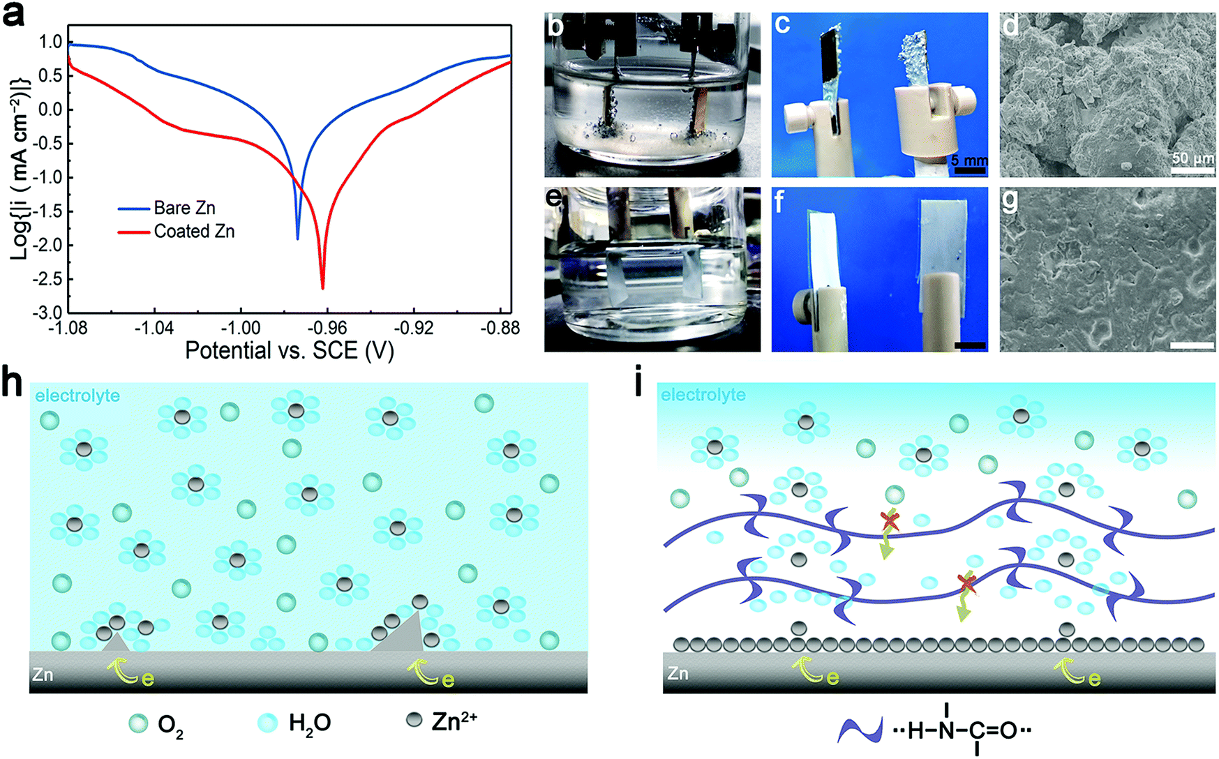 Long Life And Deeply Rechargeable Aqueous Zn Anodes Enabled By A Multifunctional Brightener Inspired Interphase Energy Environmental Science Rsc Publishing