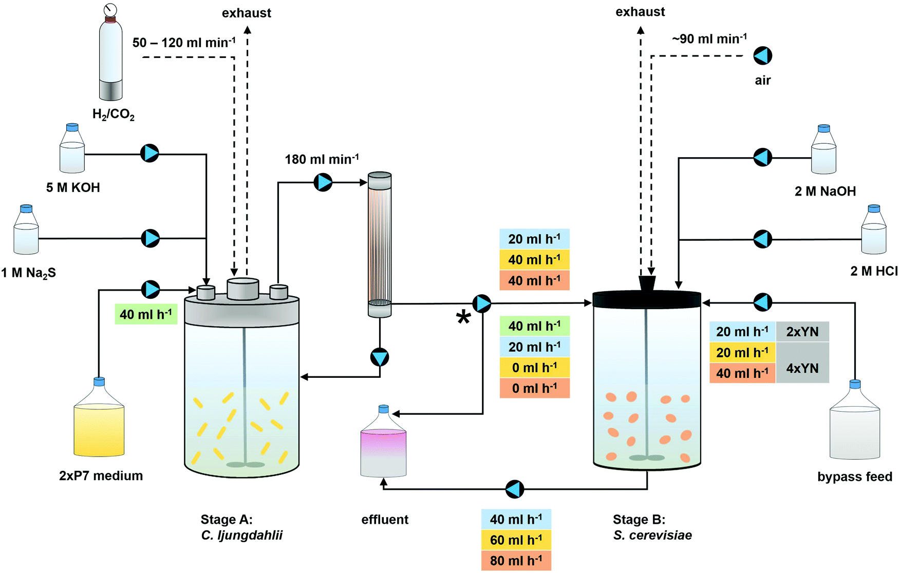 Power To Protein Converting Renewable Electric Power And Carbon Dioxide Into Single Cell Protein With A Two Stage Bioprocess Energy Environmental Science Rsc Publishing