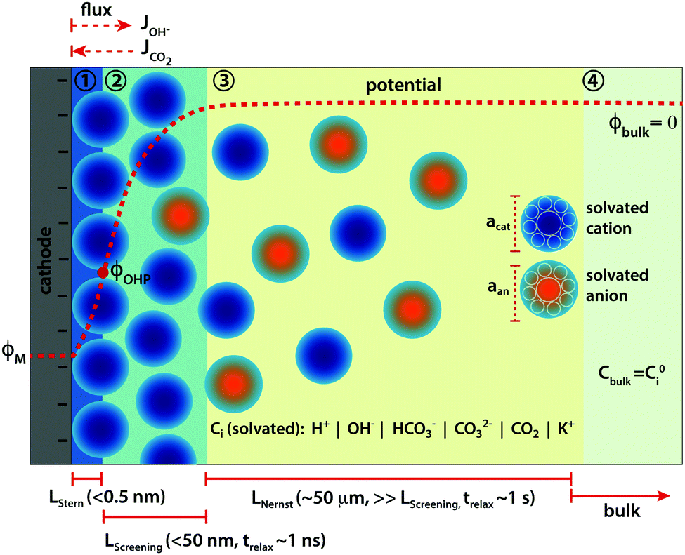 Modeling the electrical double layer to understand the reaction