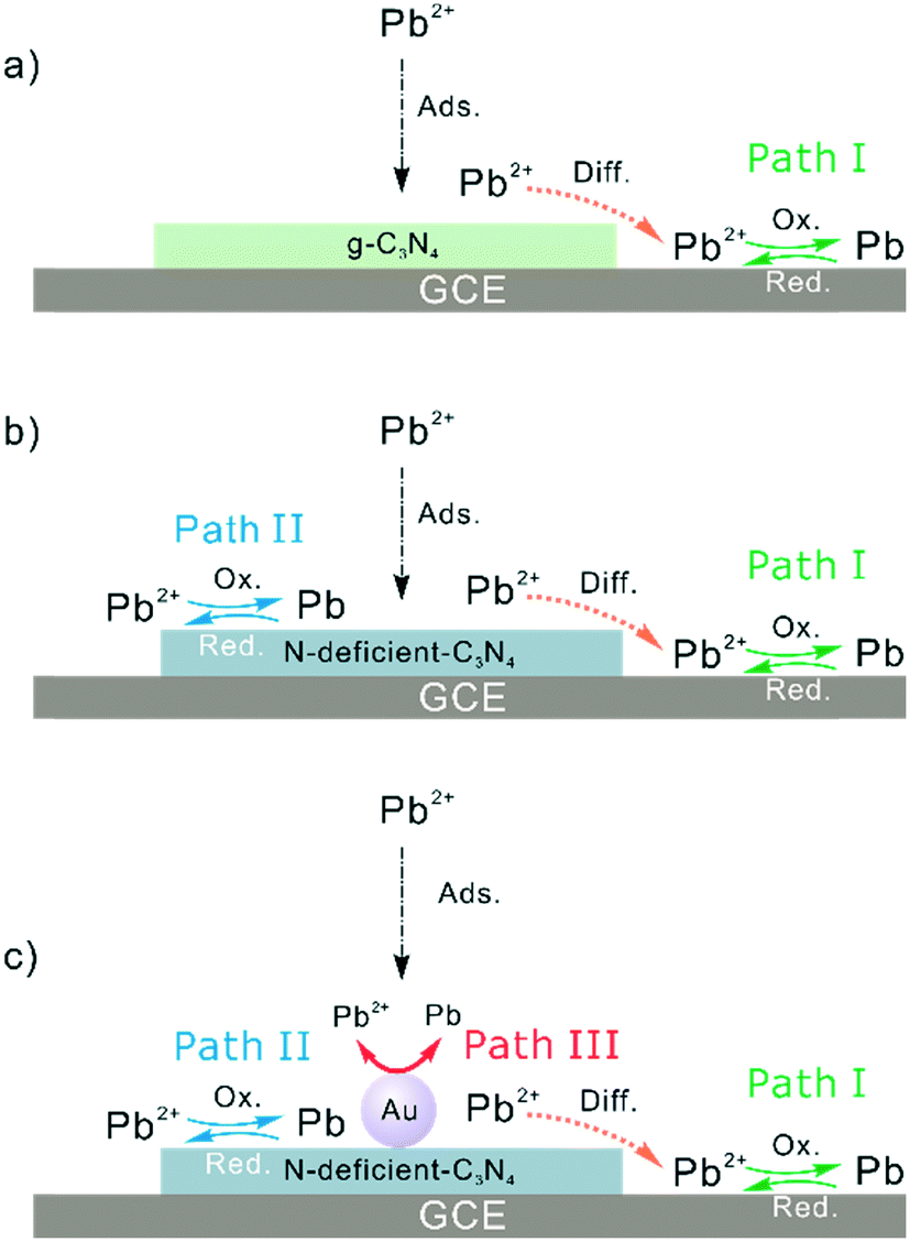 Synergistic Catalysis Of N Vacancies And 5 Nm Au Nanoparticles Promoted The Highly Sensitive Electrochemical Determination Of Lead Ii Using An Au N Deficient C3n4 Nanocomposite Environmental Science Nano Rsc Publishing