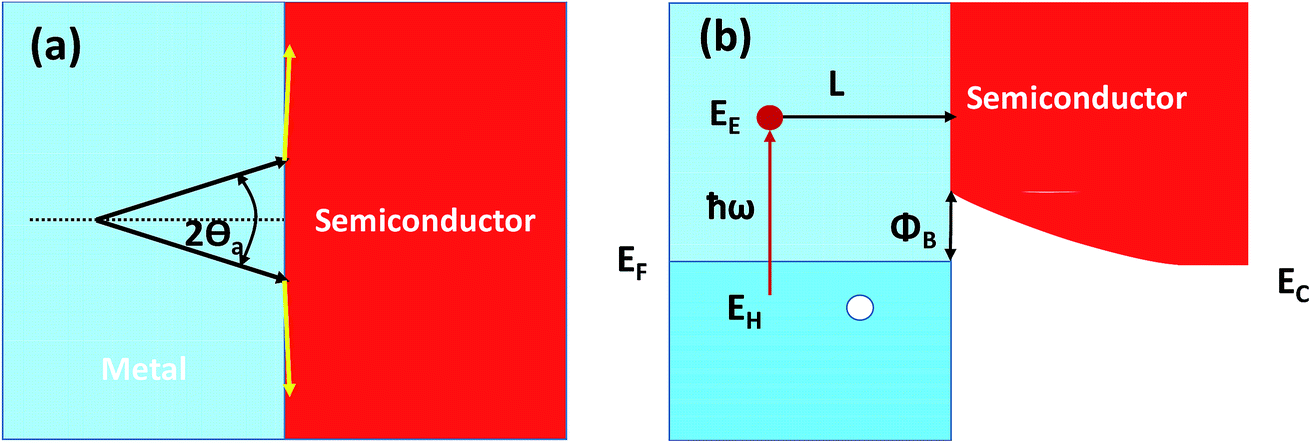Hot Carriers Generated By Plasmons Where Are They Generated And Where Do They Go From There Faraday Discussions Rsc Publishing
