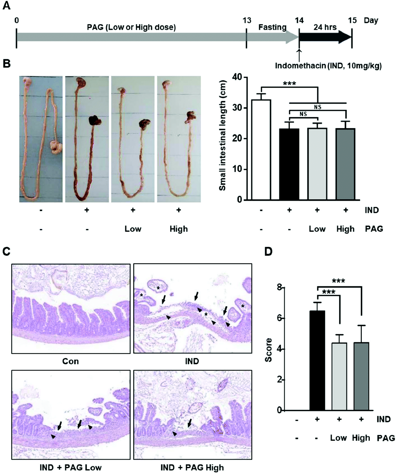 Processed Aloe vera gel attenuates non-steroidal anti-inflammatory drug  (NSAID)-induced small intestinal injury by enhancing mucin expression -  Food & Function (RSC Publishing)