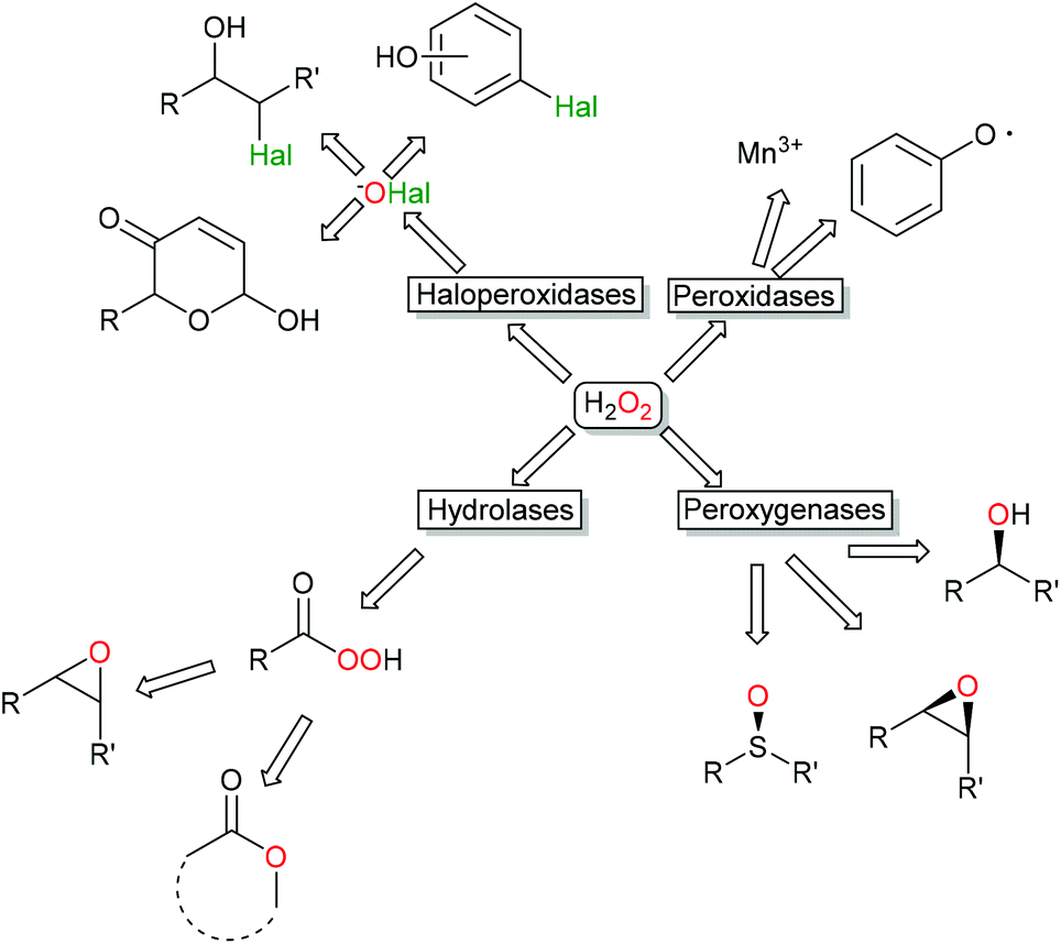 Hydrogen Peroxide Driven Biocatalysis Green Chemistry Rsc Publishing
