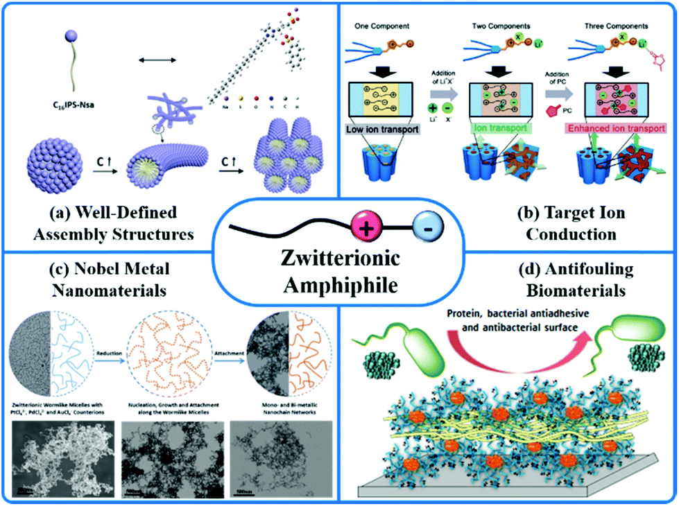 Japanese U12 - Zwitterionic amphiphiles: their aggregation behavior and ...