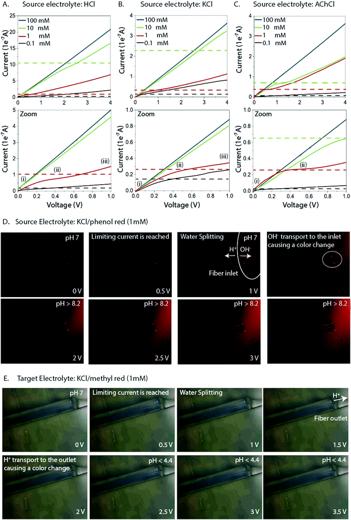 transport limitations in miniaturized electrophoretic