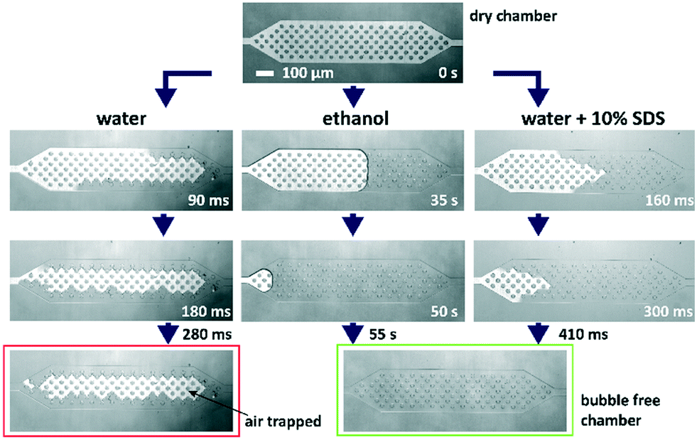 a guide to avoid gas nucleation a guide to avoid gas nucleation