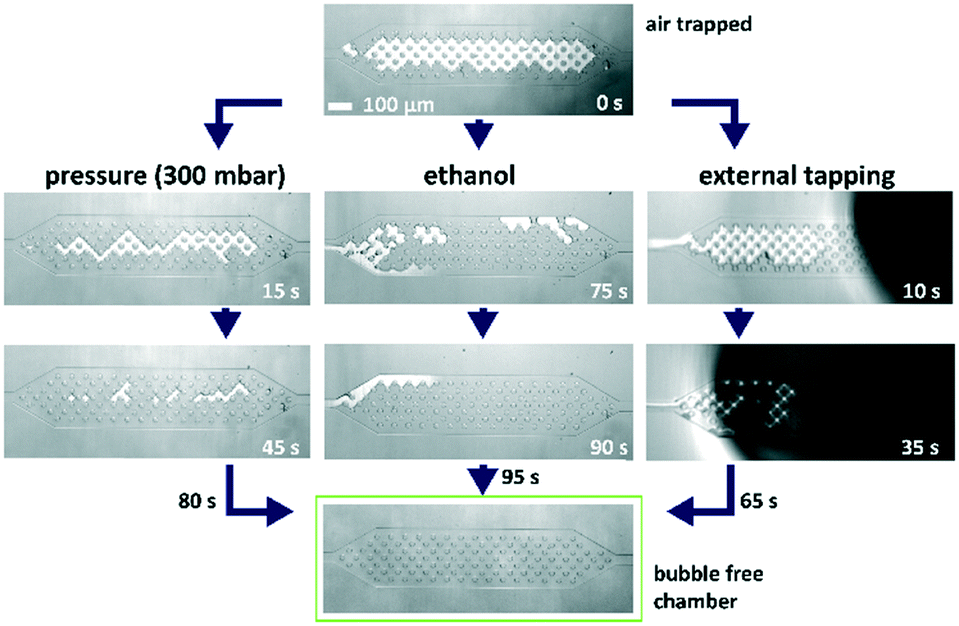 a guide to avoid gas nucleation a guide to avoid gas nucleation