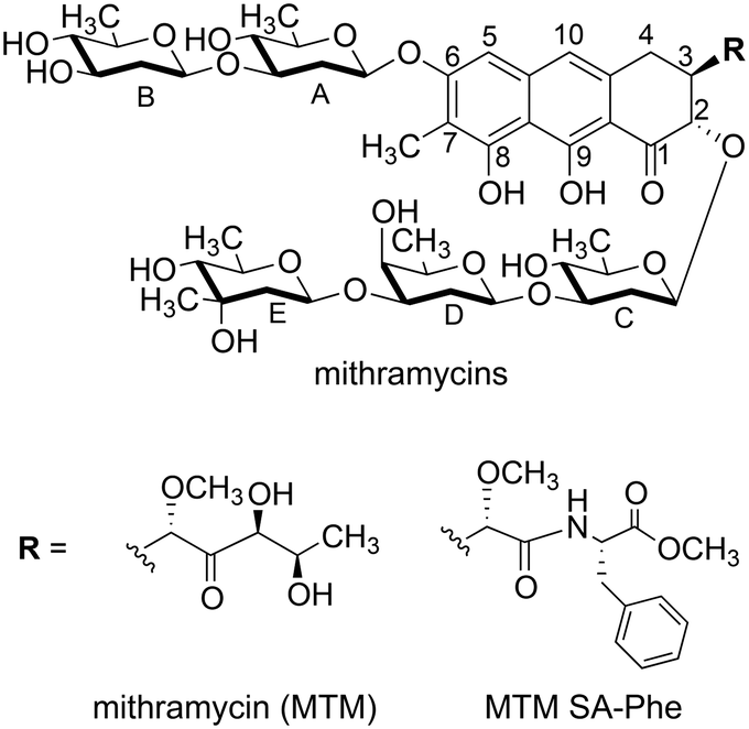 How Mithramycin Stereochemistry Dictates Its Structure And Dna Binding Function Medchemcomm Rsc Publishing