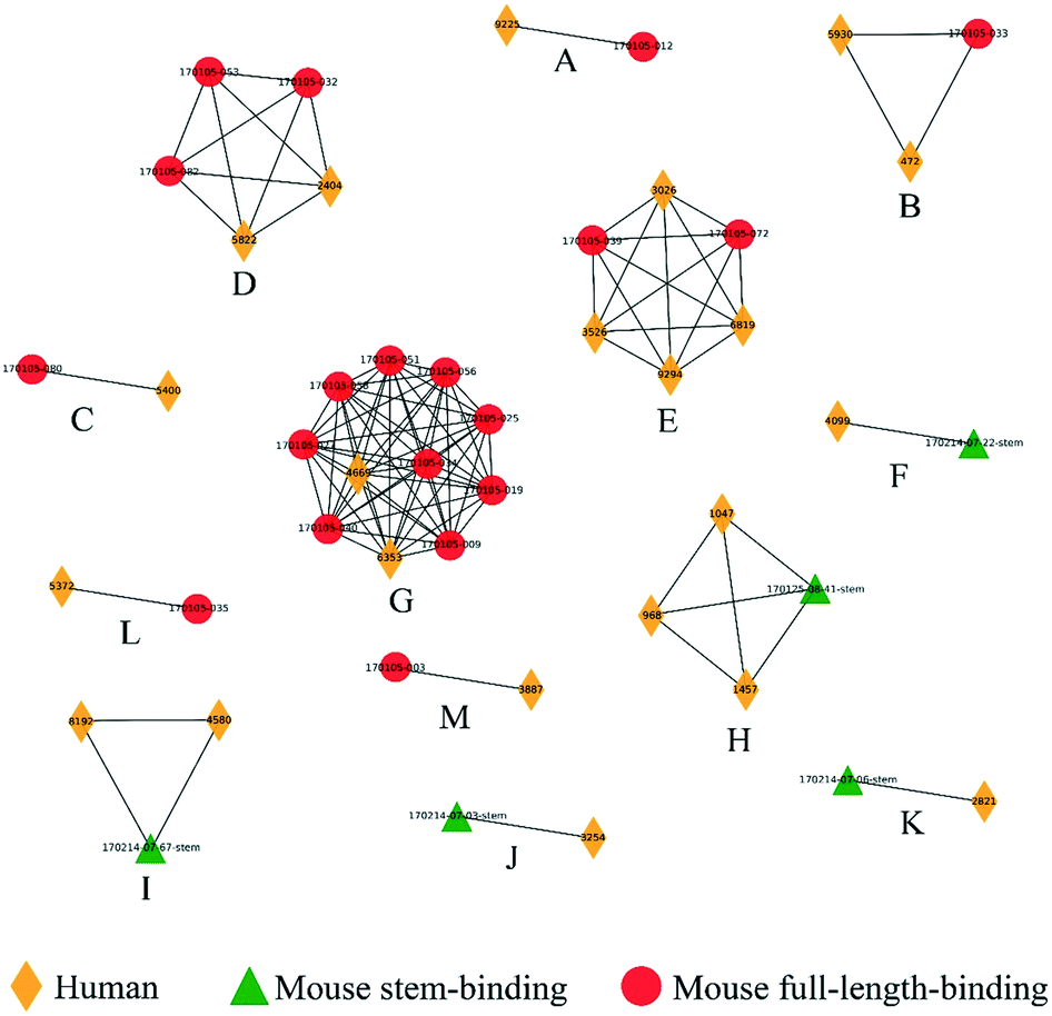 Functional clustering of B cell receptors using sequence and structural ...