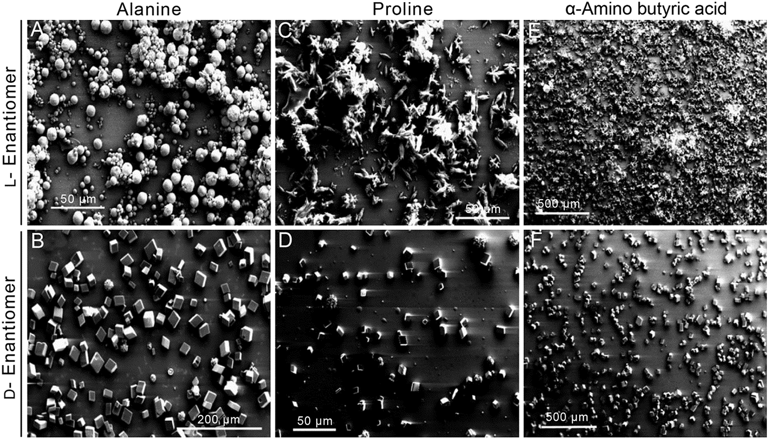 Chiral Biomineralized Structures And Their Biomimetic