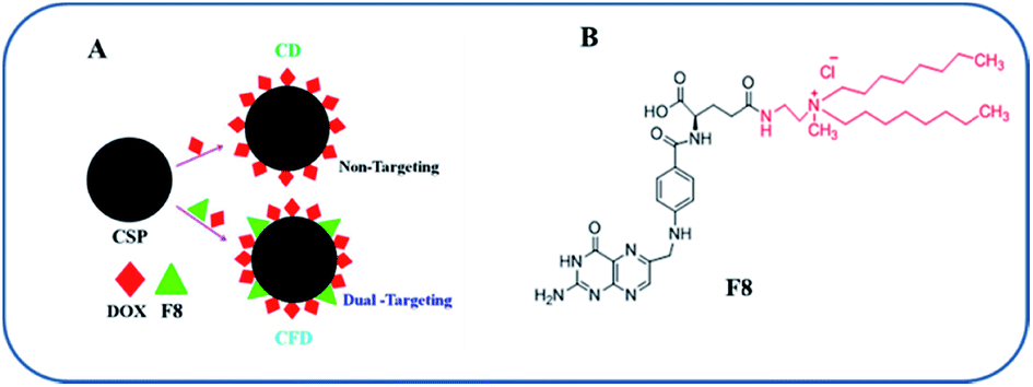 Dual Targeting Of Folate Receptor-expressing Glioma Tumor-associated ...