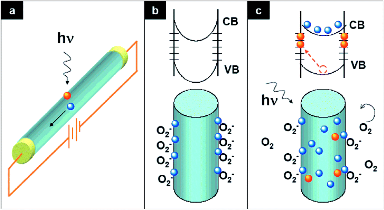 Zinc oxide ultraviolet photodetectors rapid progress from conventional