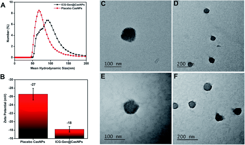 A NIR-responsive indocyanine green-genistein nanoformulation to control ...