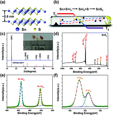 High-performance ultra-violet phototransistors based on CVT-grown high ...