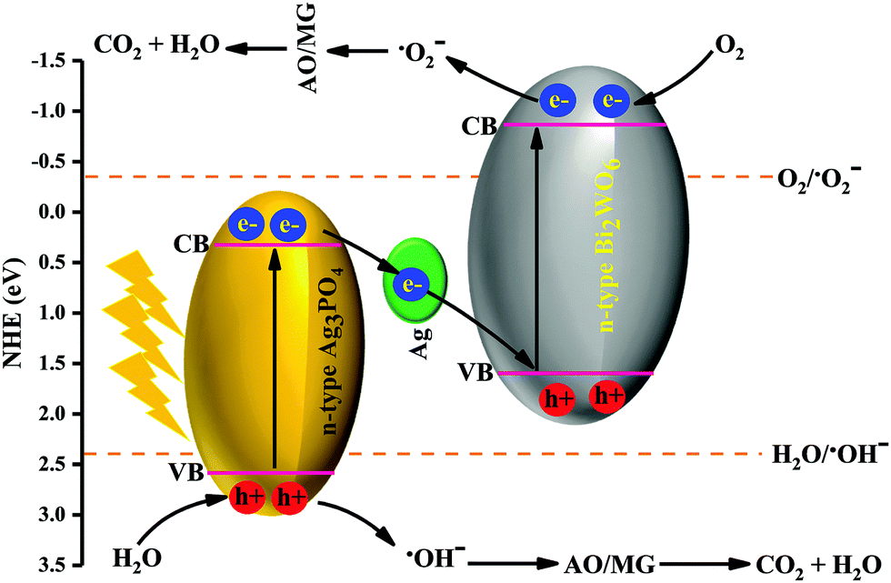 Bi2wo6 Ag3po4 Ag Z Scheme Heterojunction As A New Plasmonic Visible Light Driven Photocatalyst Performance Evaluation And Mechanism Study New Journal Of Chemistry Rsc Publishing