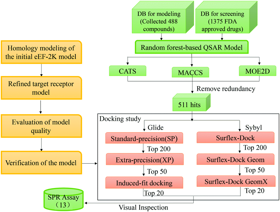 Virtual Screening And Experimental Validation Of Eef2k Inhibitors By Combining Homology Modeling Qsar And Molecular Docking From Fda Approved Drugs New Journal Of Chemistry Rsc Publishing