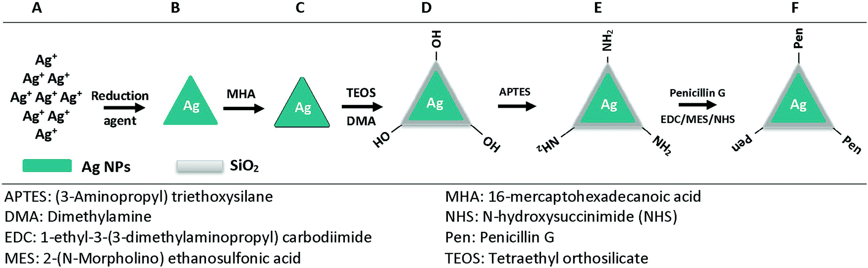 Preparation And Antibacterial Behaviour Of Nanostructured Ag Sio2 Penicillin With Silver Nanoplates New Journal Of Chemistry Rsc Publishing