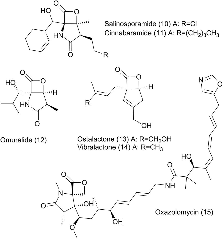 Biosynthesis And Chemical Diversity Of B Lactone Natural Products Natural Product Reports Rsc Publishing